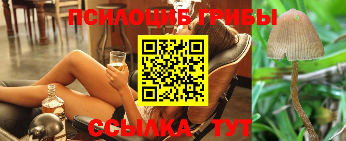 Ковров  Галлюциногенные грибы прущие грибы  Вход с VPN 
