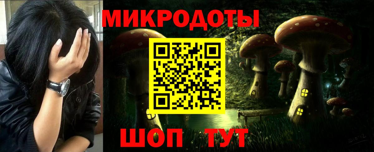 Псилоцибиновые грибы Psilocybine cubensis Ковров